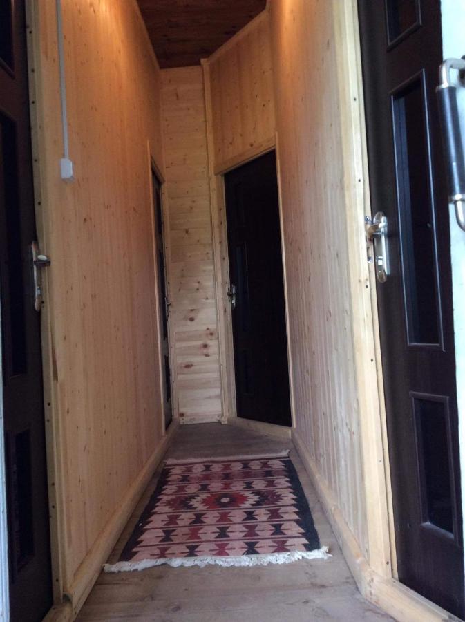 Gunter Guest House Adishi 외부 사진