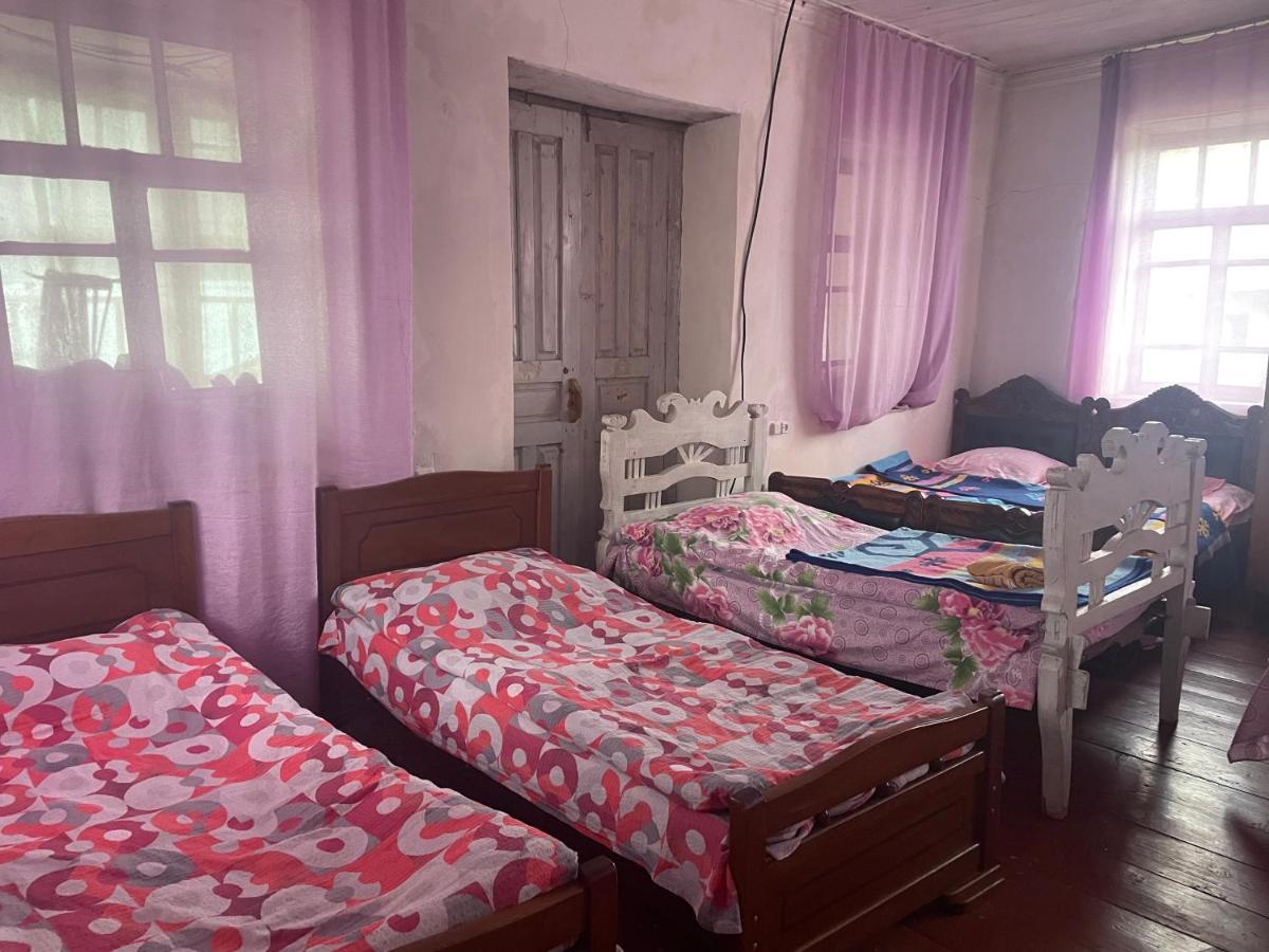 Gunter Guest House Adishi 외부 사진
