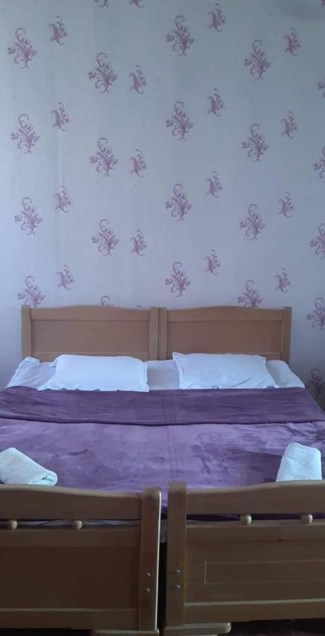 Gunter Guest House Adishi 외부 사진